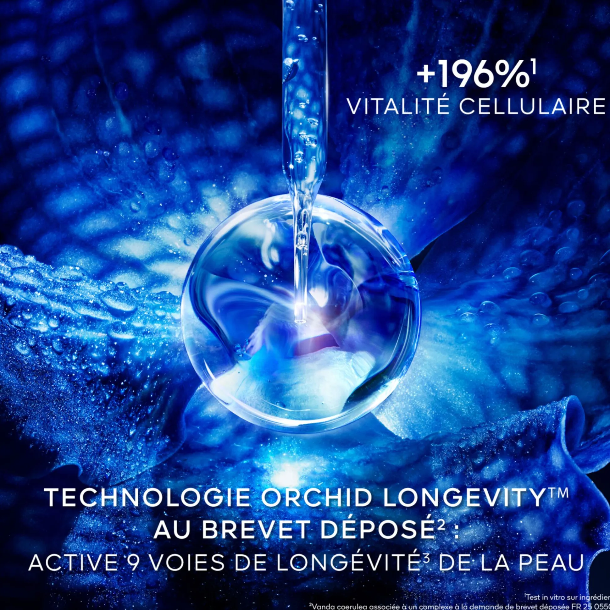 Orchidée Impériale