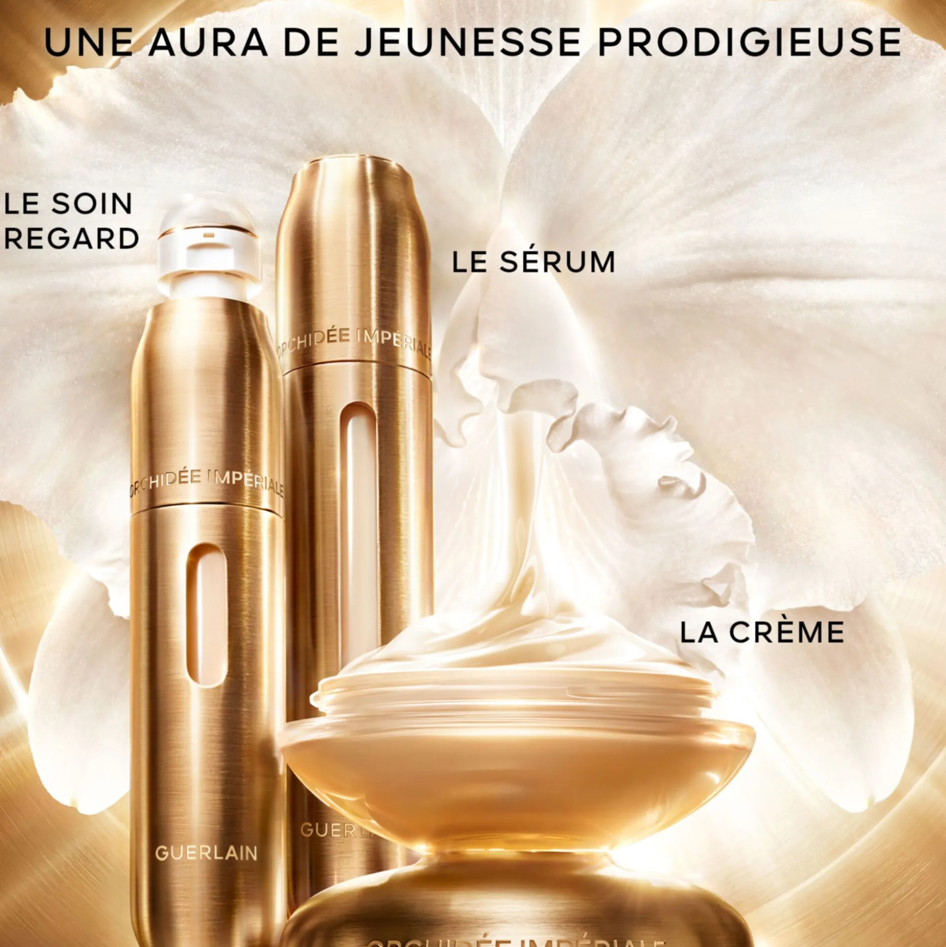 Orchidée Impériale Gold Nobile