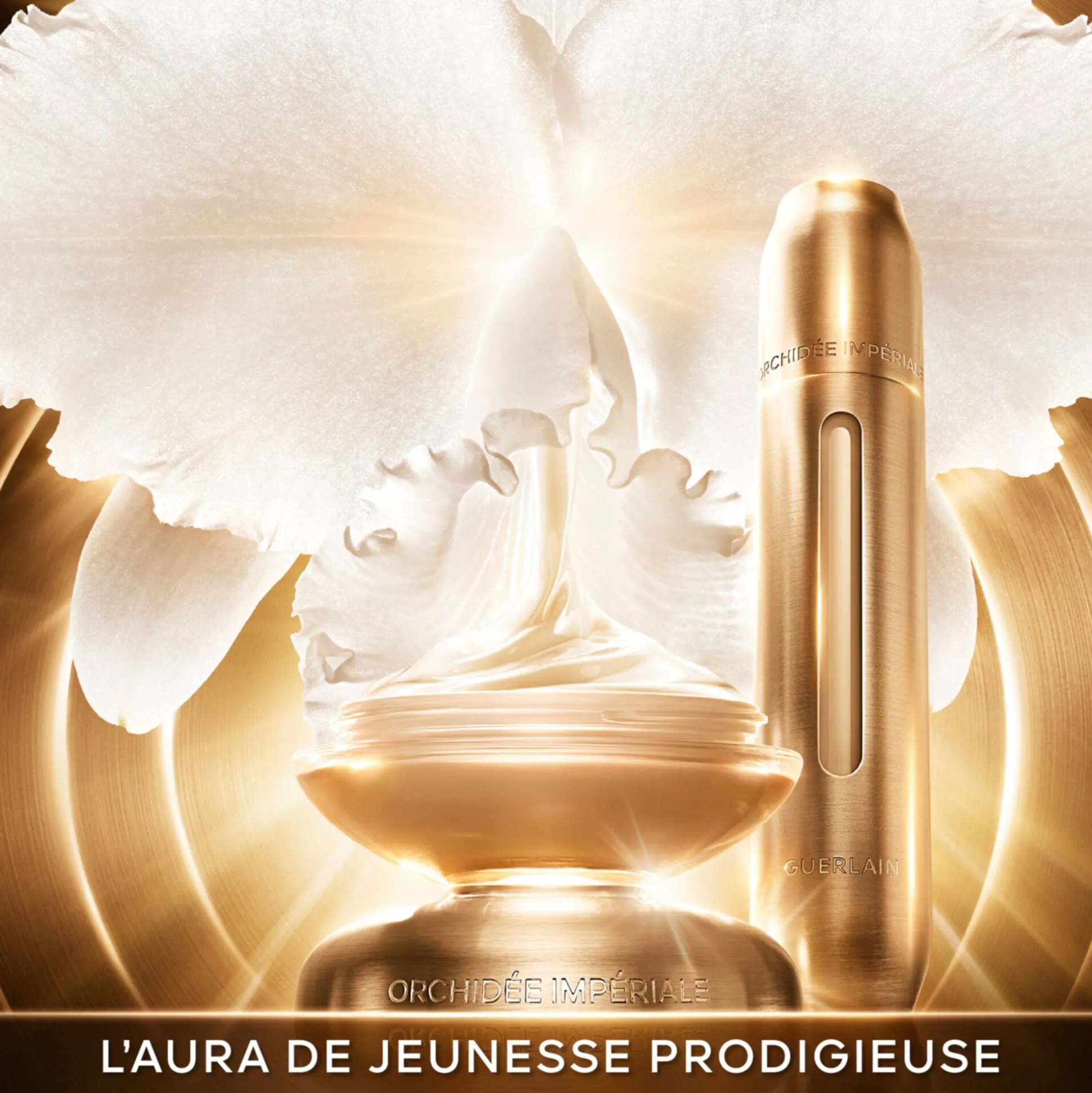 Orchidée Impériale Gold Nobile