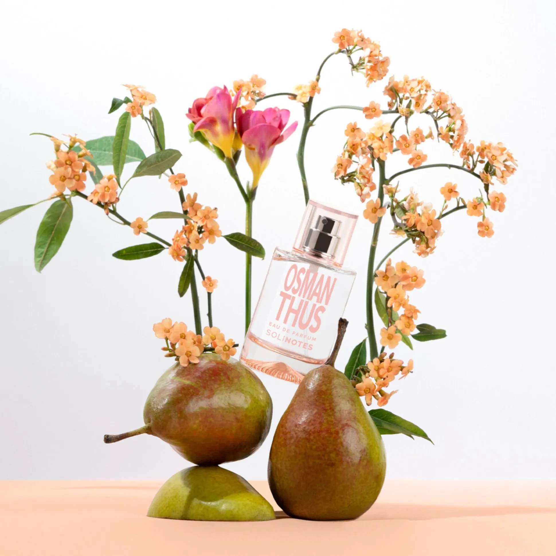 Osmanthus