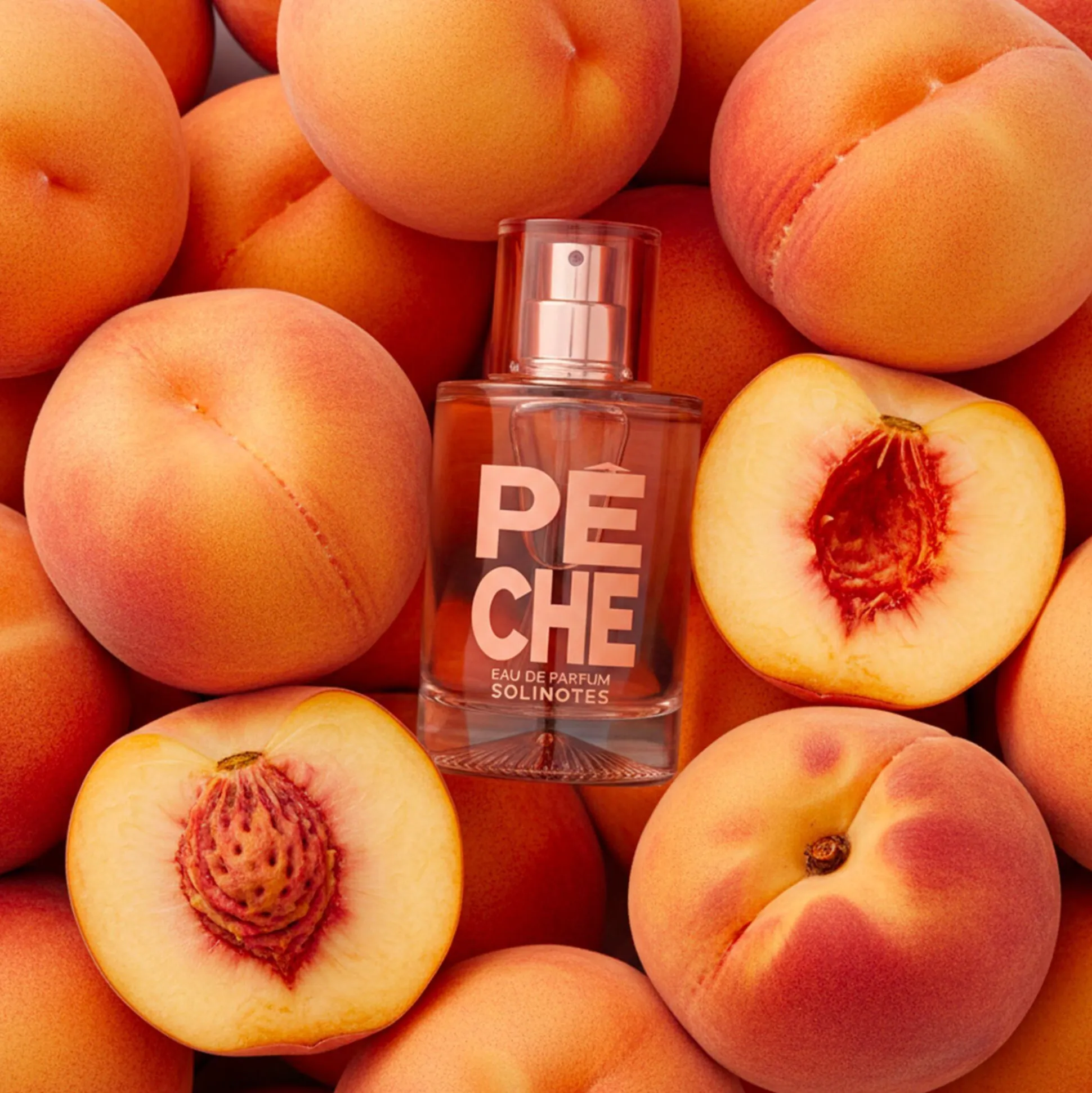 Pêche