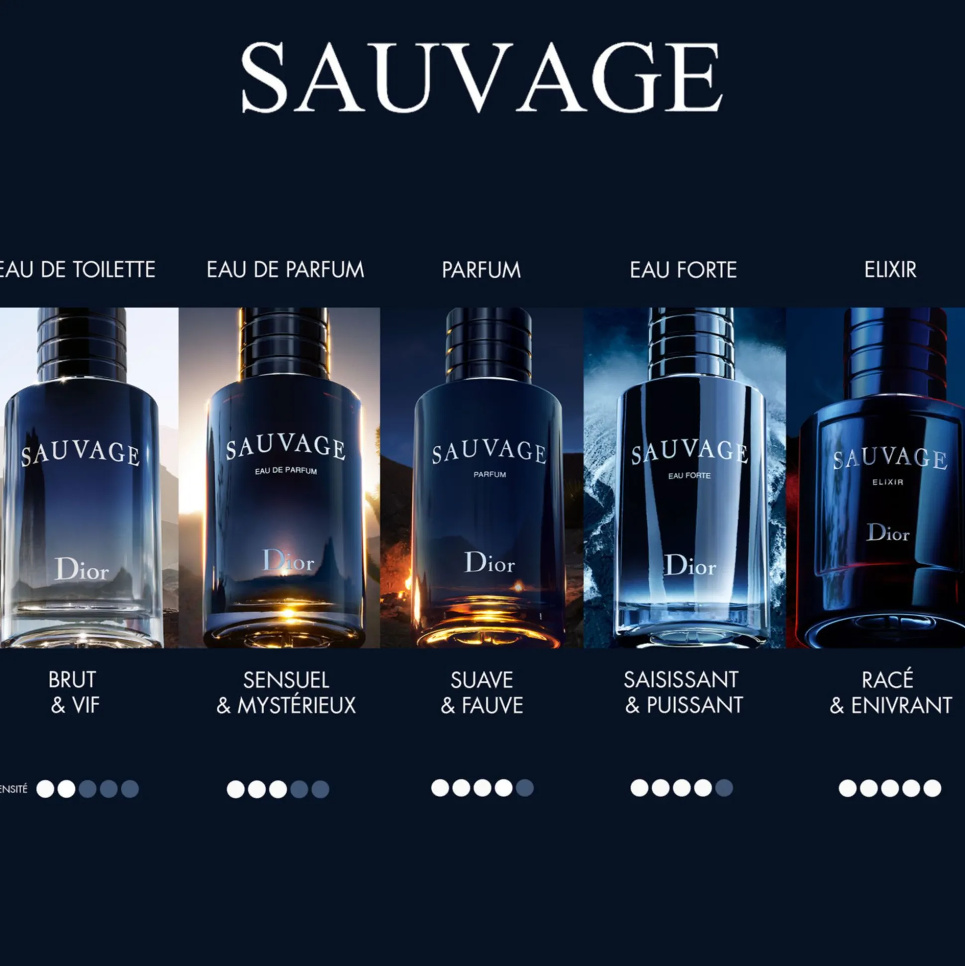Sauvage Elixir