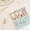 Set De 5 Pinceaux Professionnels