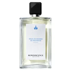 Sous Un Mimosa De Provence