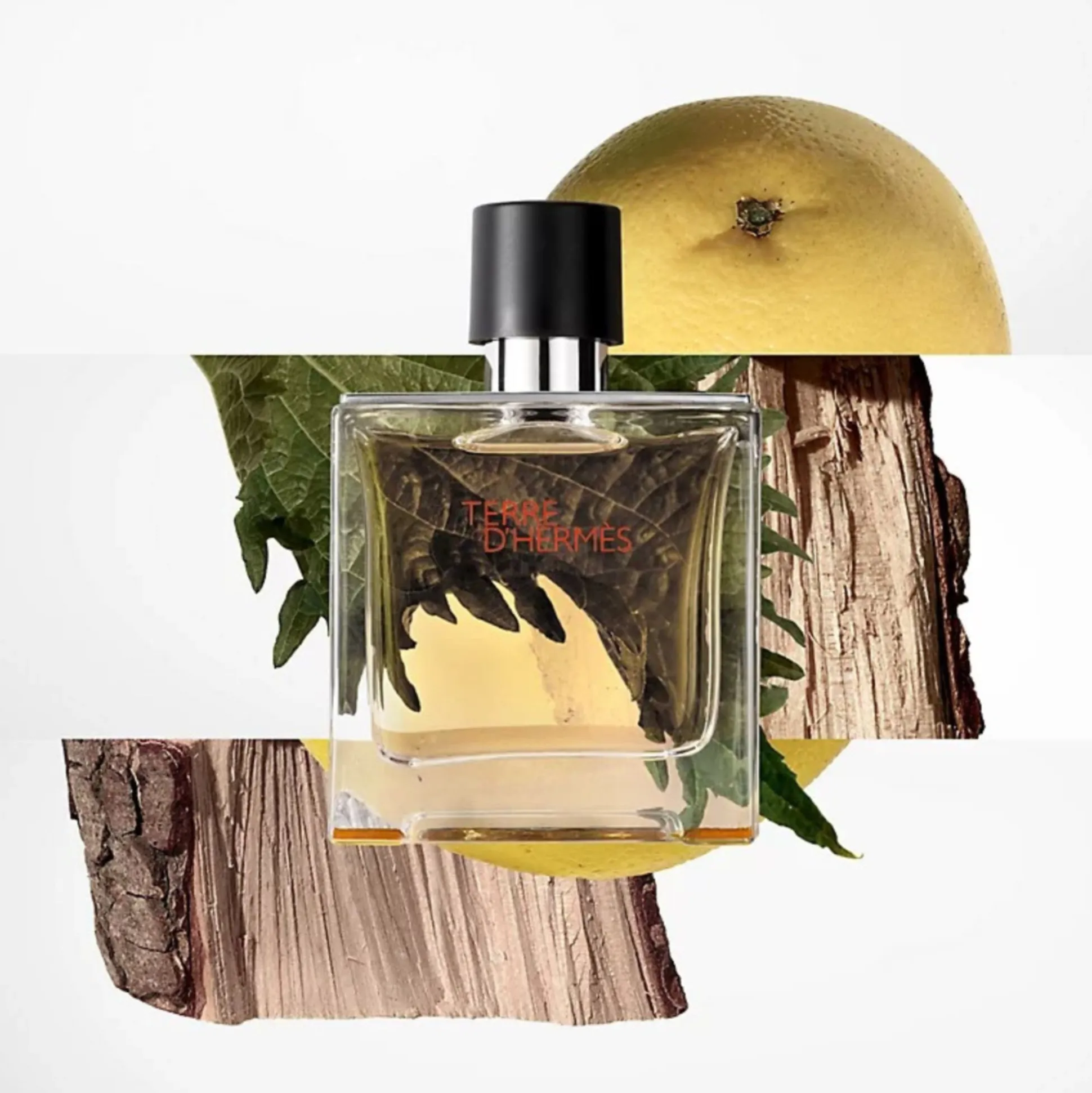 Terre D'hermès