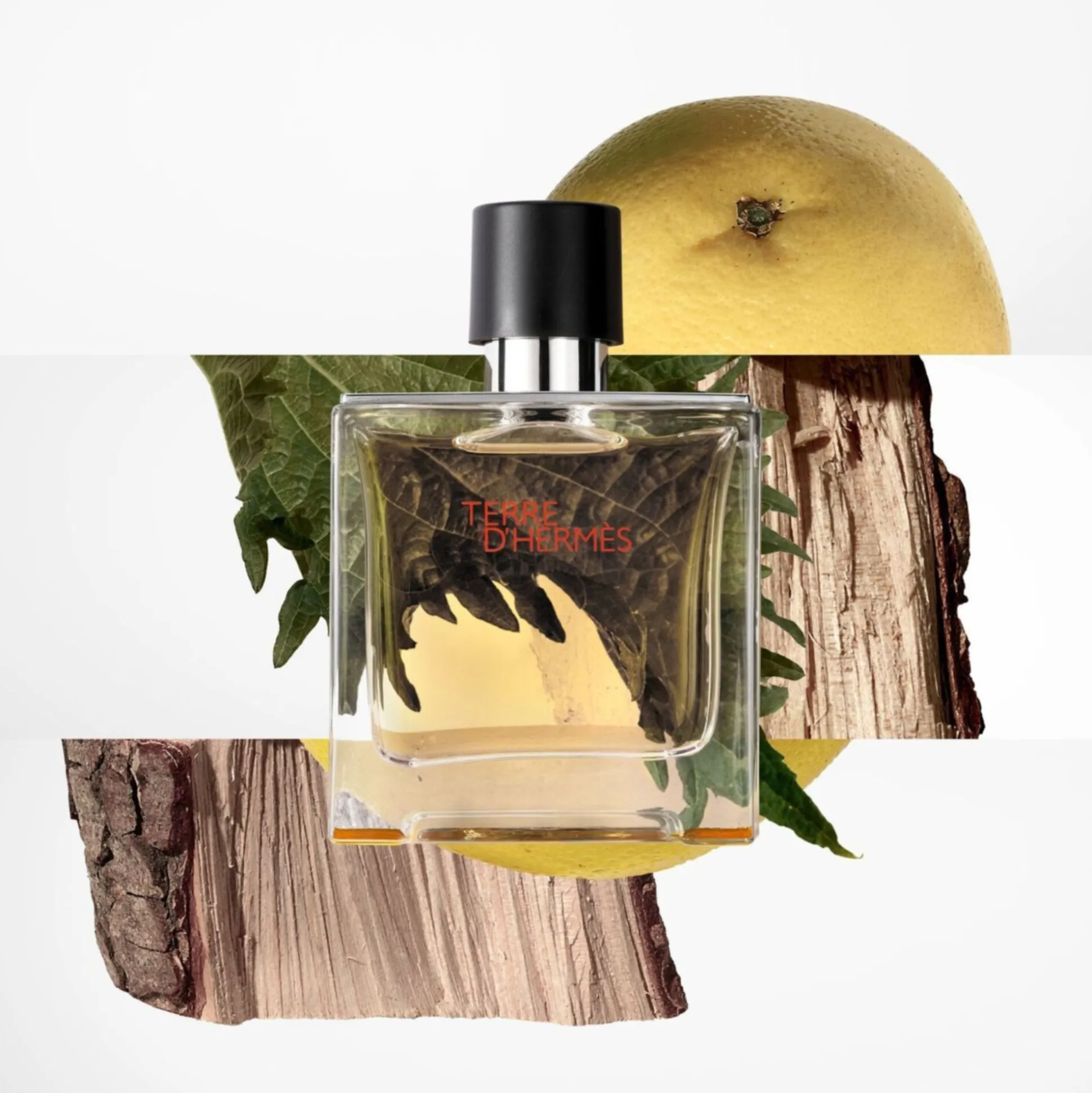Terre D'hermès