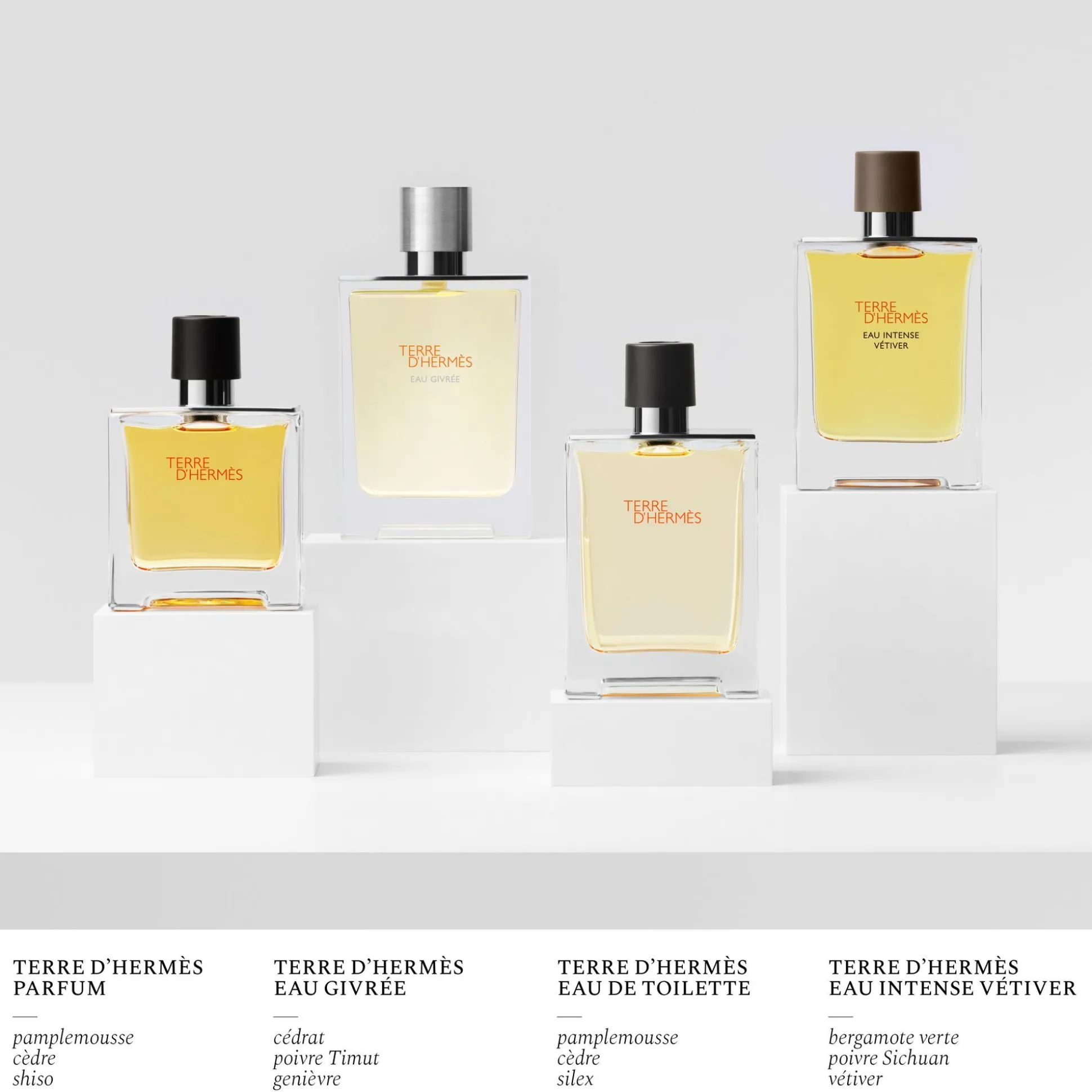 Terre D'hermès Eau Givrée