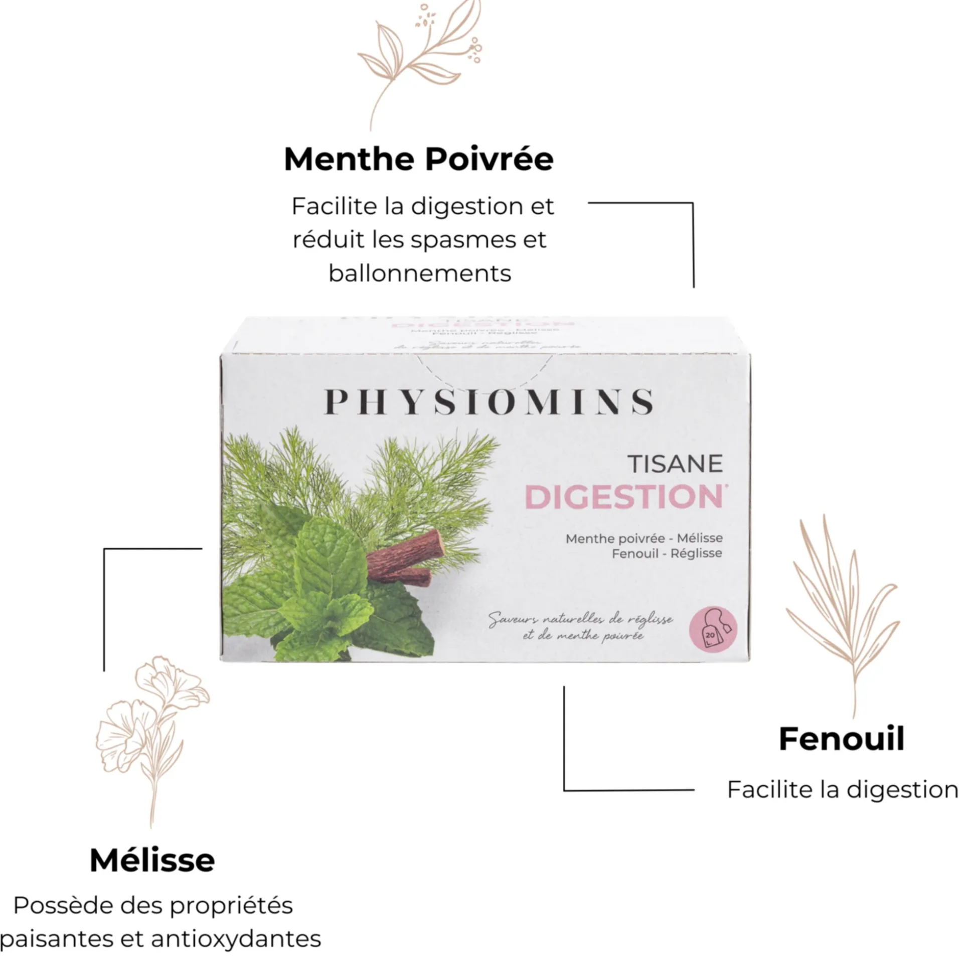 Tisane Digestion