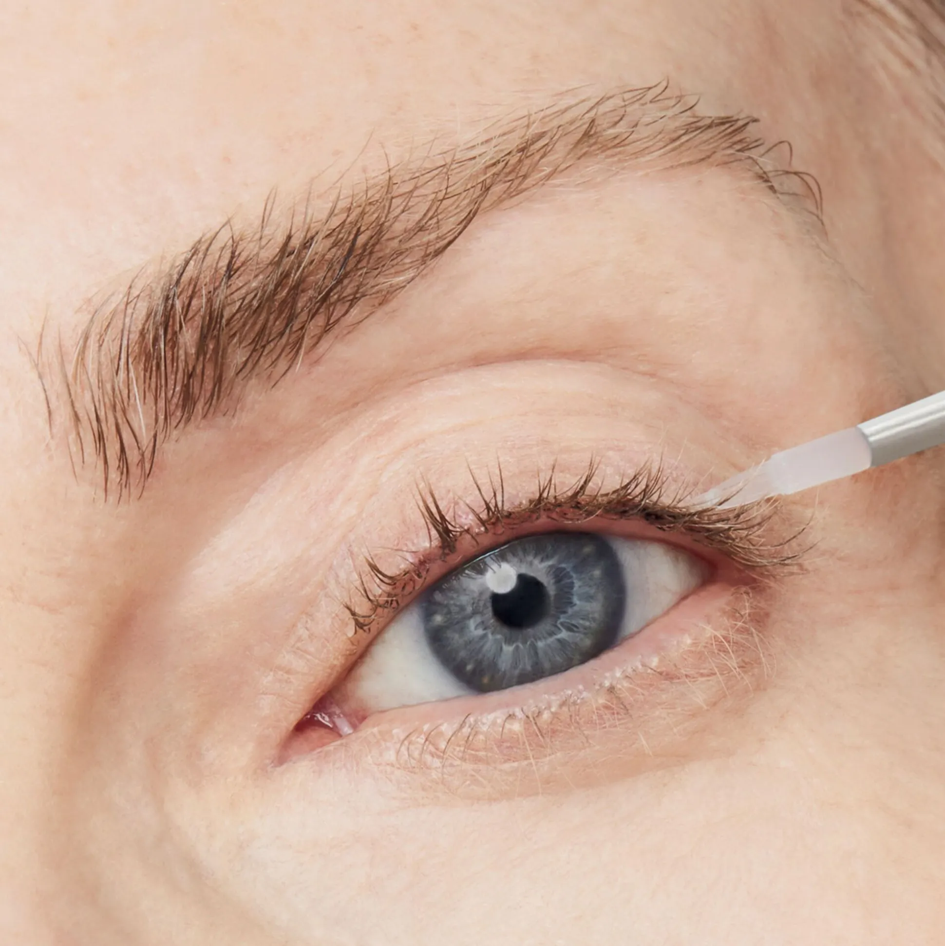 Turbo Lash