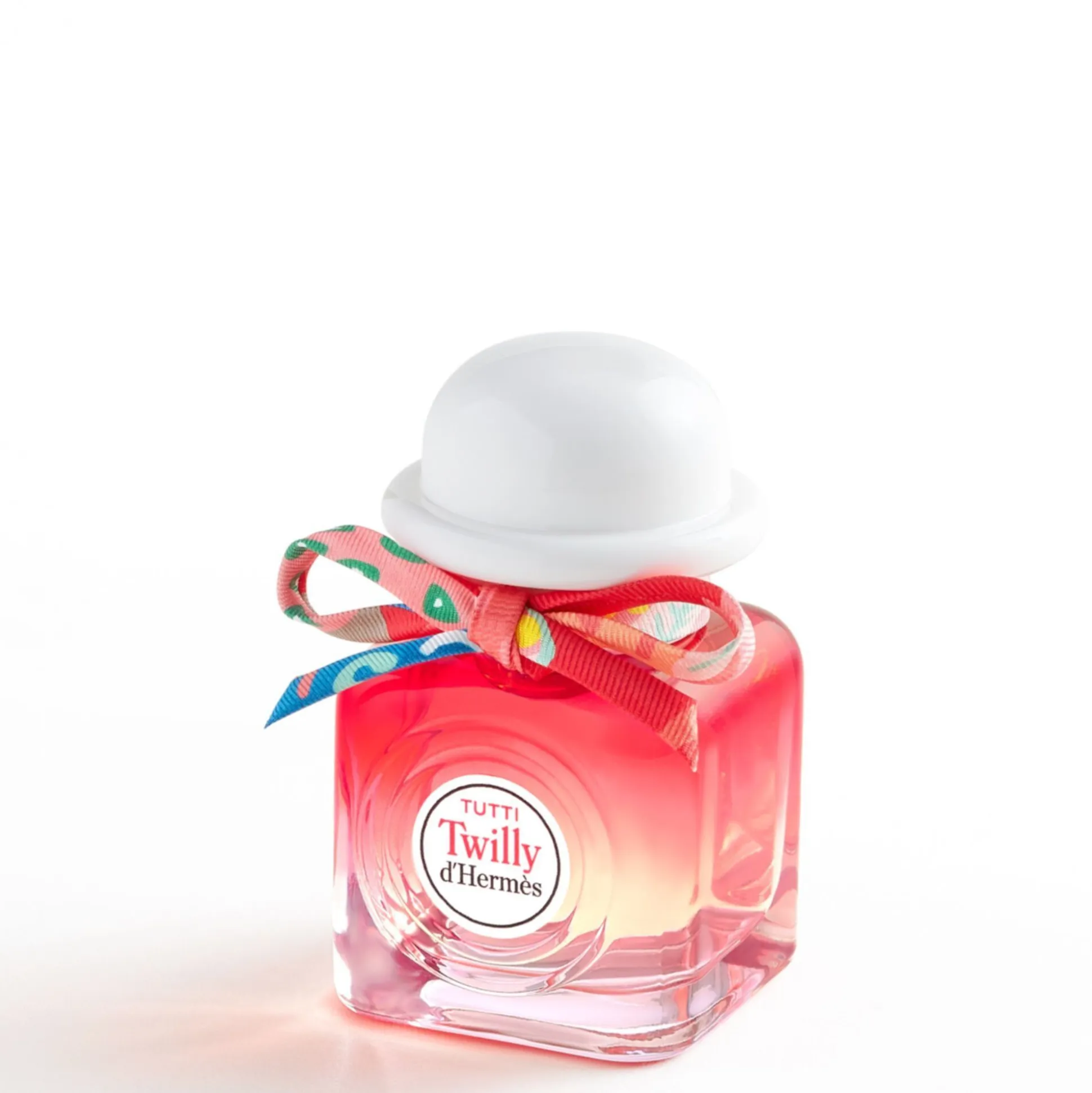 Tutti Twilly D'hermès