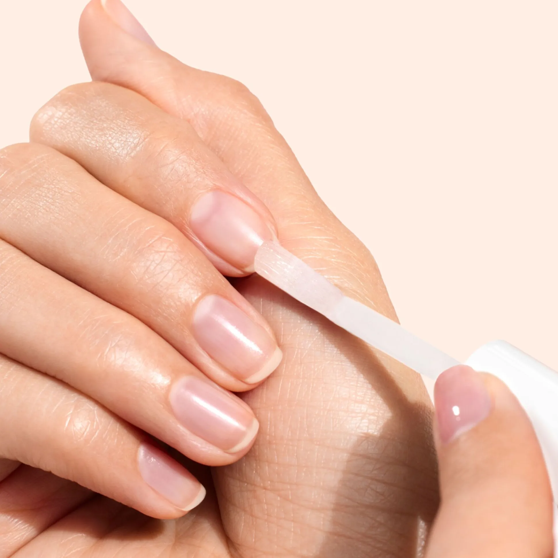 Vernis Amer