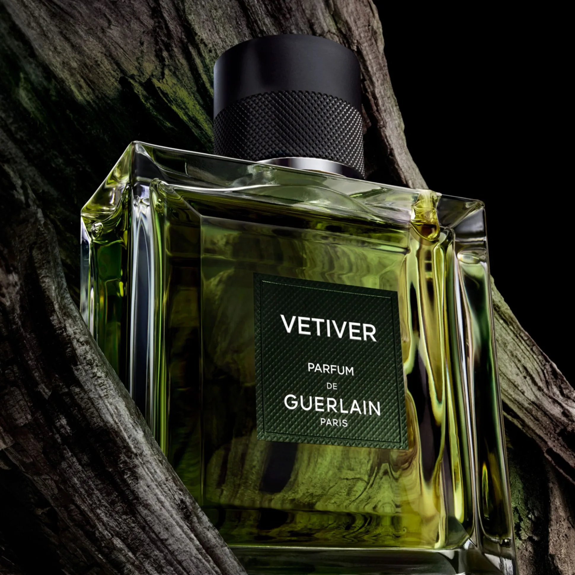 Vétiver