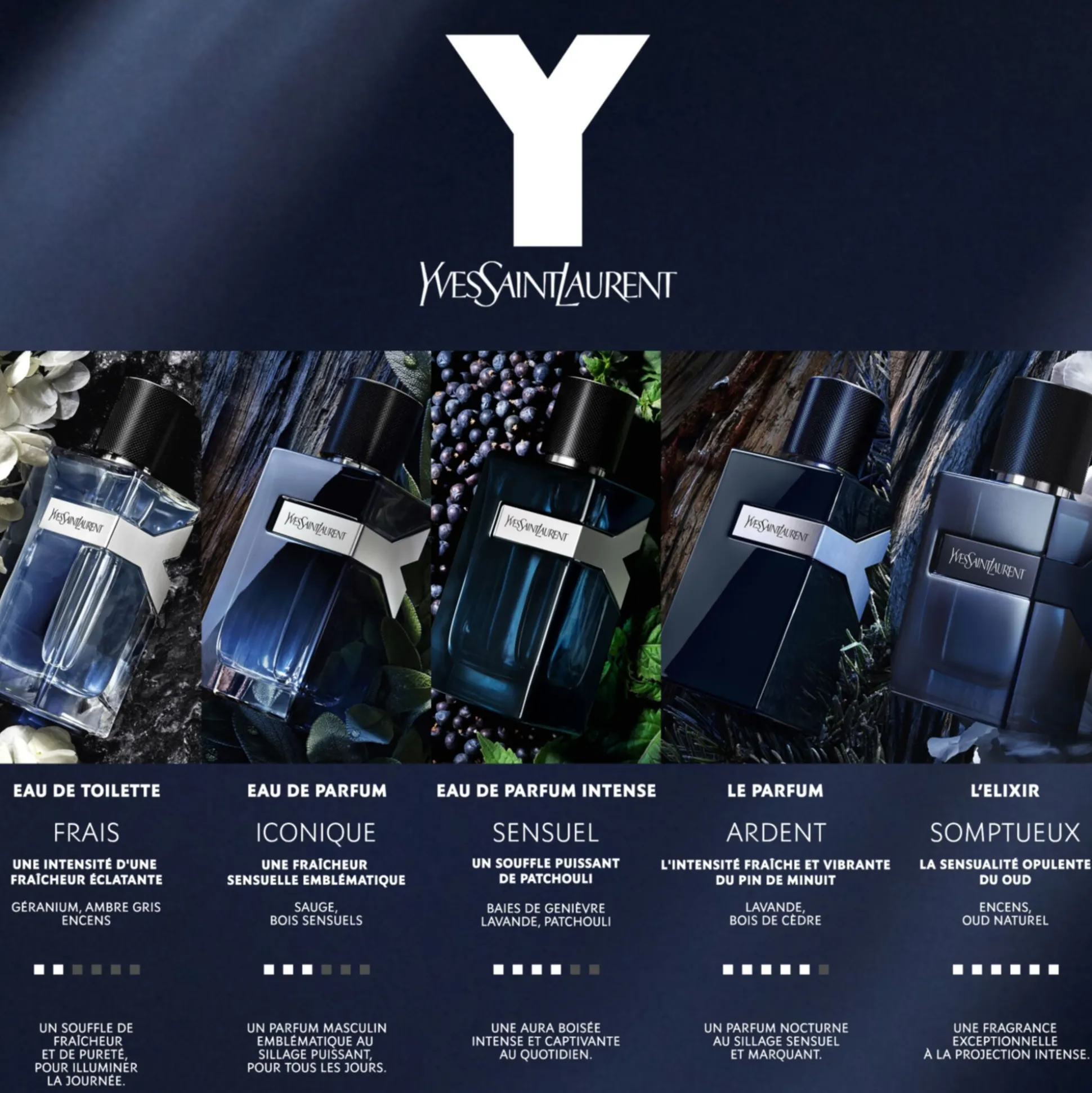 Y