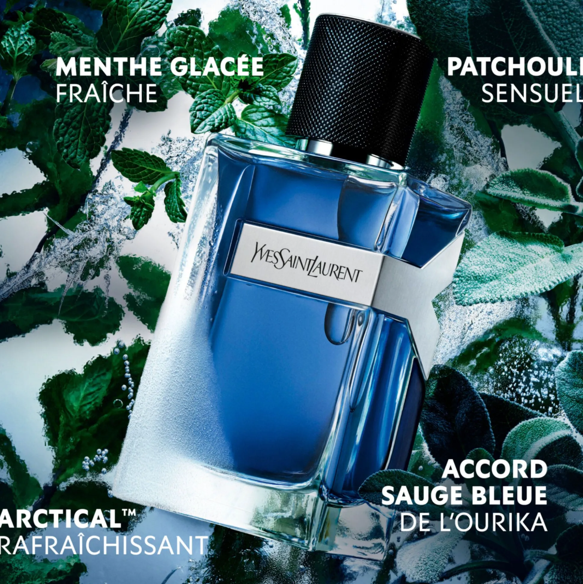 Y Iced Cologne