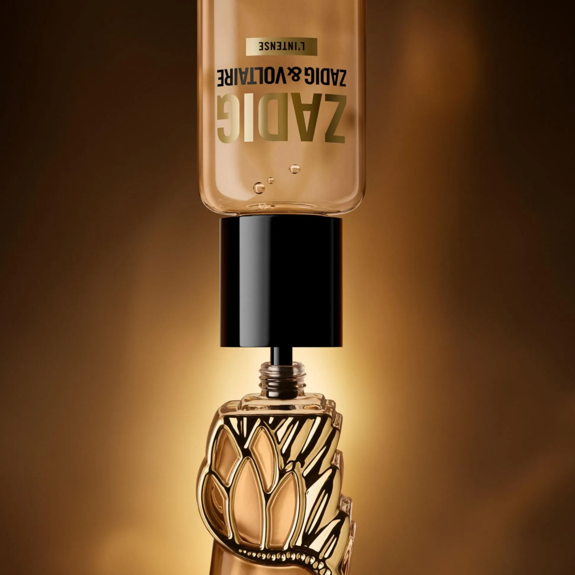 Zadig L'intense